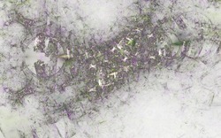 2014 05 10 Eye of the Storm 51-white.jpg